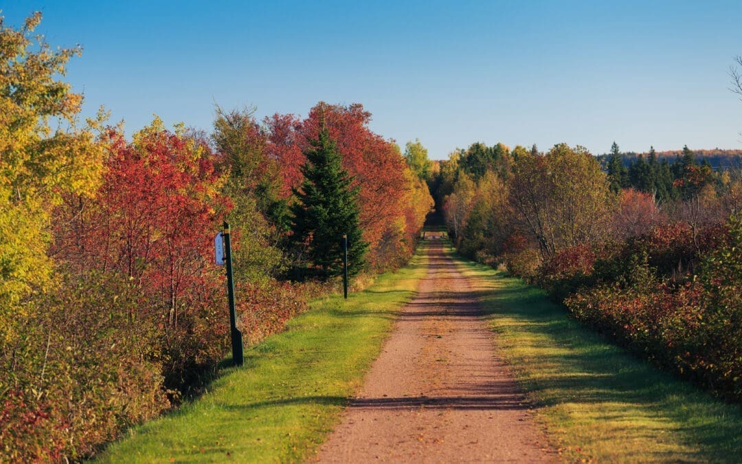 Island Trails