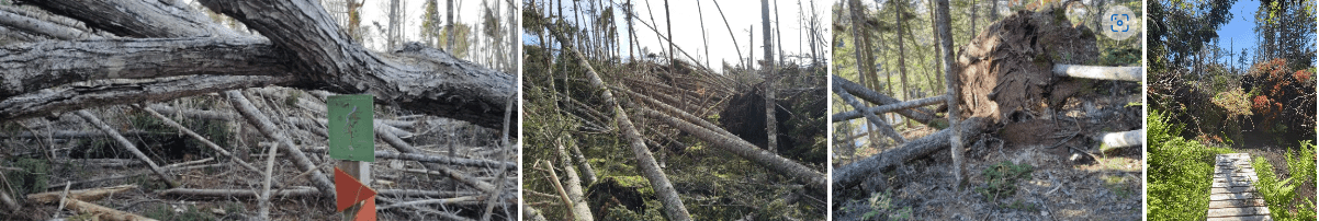Island Trails Fiona Damage